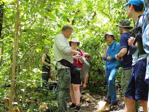 Students stand in a green forest and listen to their guide talk about the wildlife.