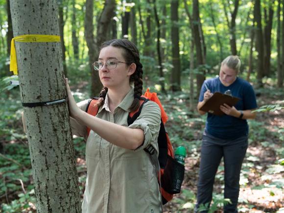 Two students take notes while observing a tree marked with a yellow ribbon deep in a forest.