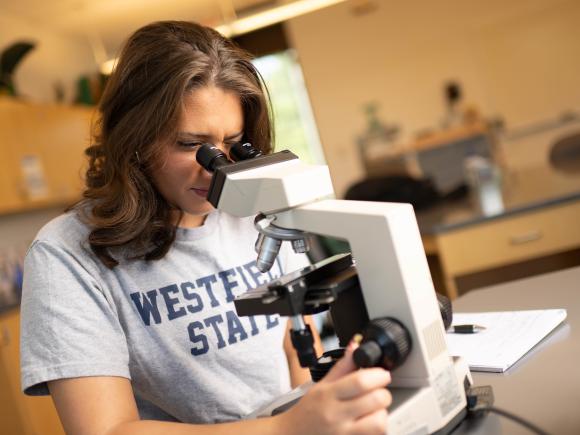 Madi Loik looks through a microscope while working in a Westfield State biology lab.