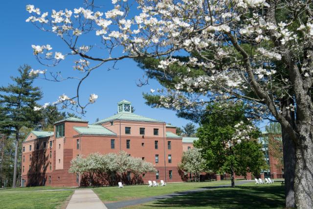 Trees in bloom on the campus green with Courtney Hall in the background