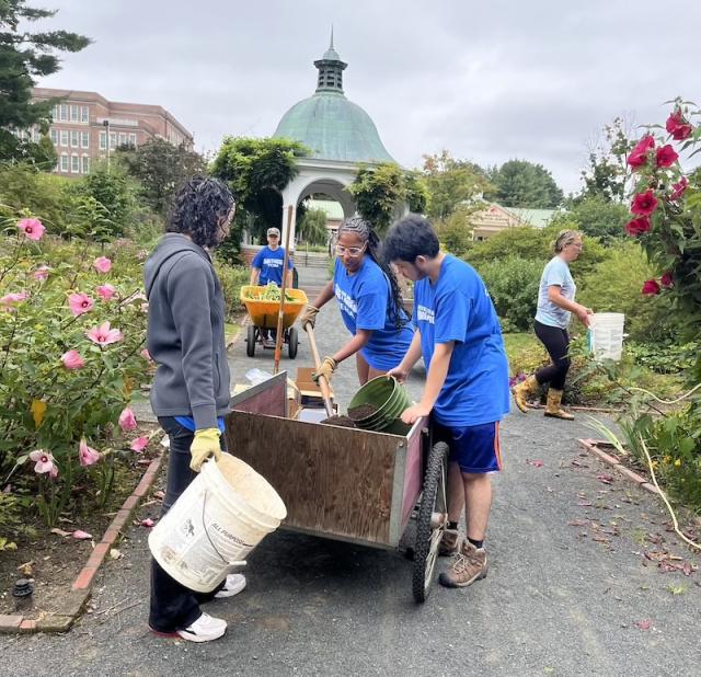 A photo of several Honors students working in Grandmother's Garden as part of their two-day orientation weekend.