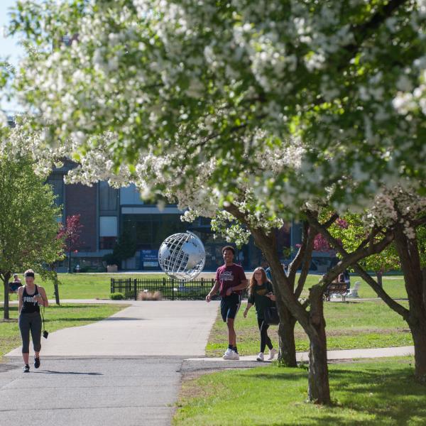 a student walks by blossoming trees outside of Courtney Hall