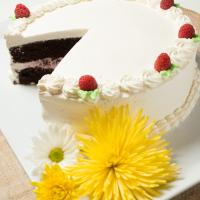 Chocolate cake with vanilla icing and raspberry accents on the top. Served on a white plate.